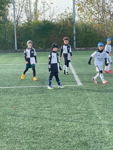 ml-pripravka-motorlet 3