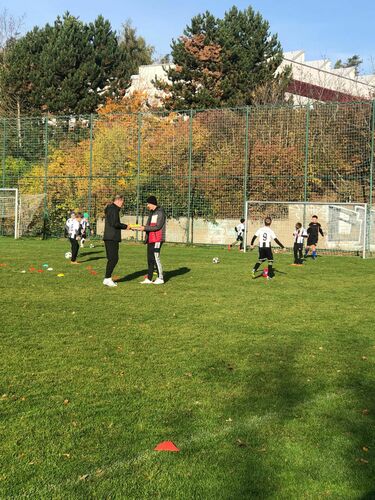 h_mecho_st-pripravka 1