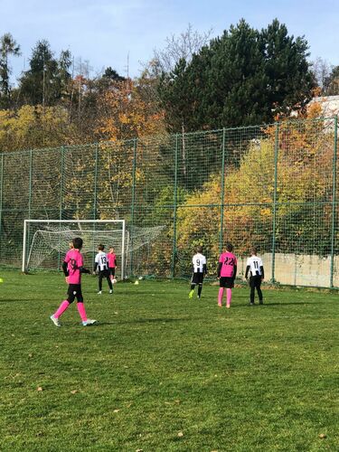 h_mecho_st-pripravka 2