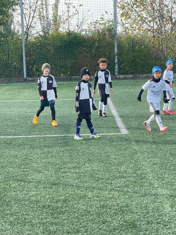 ml-pripravka-motorlet 3