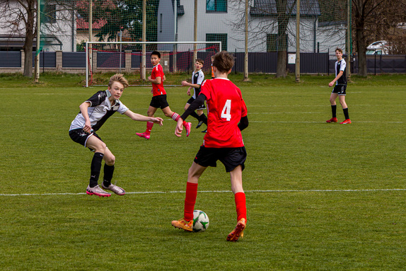 treboradice-jaro25 1