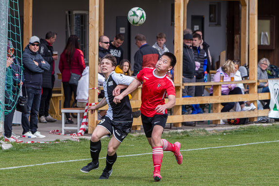 treboradice-jaro25 4