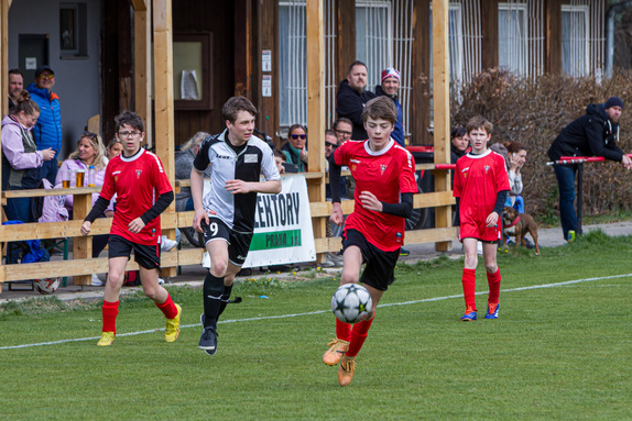 treboradice-jaro25 6