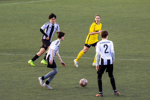 st zaci zimniliga 08032026 10